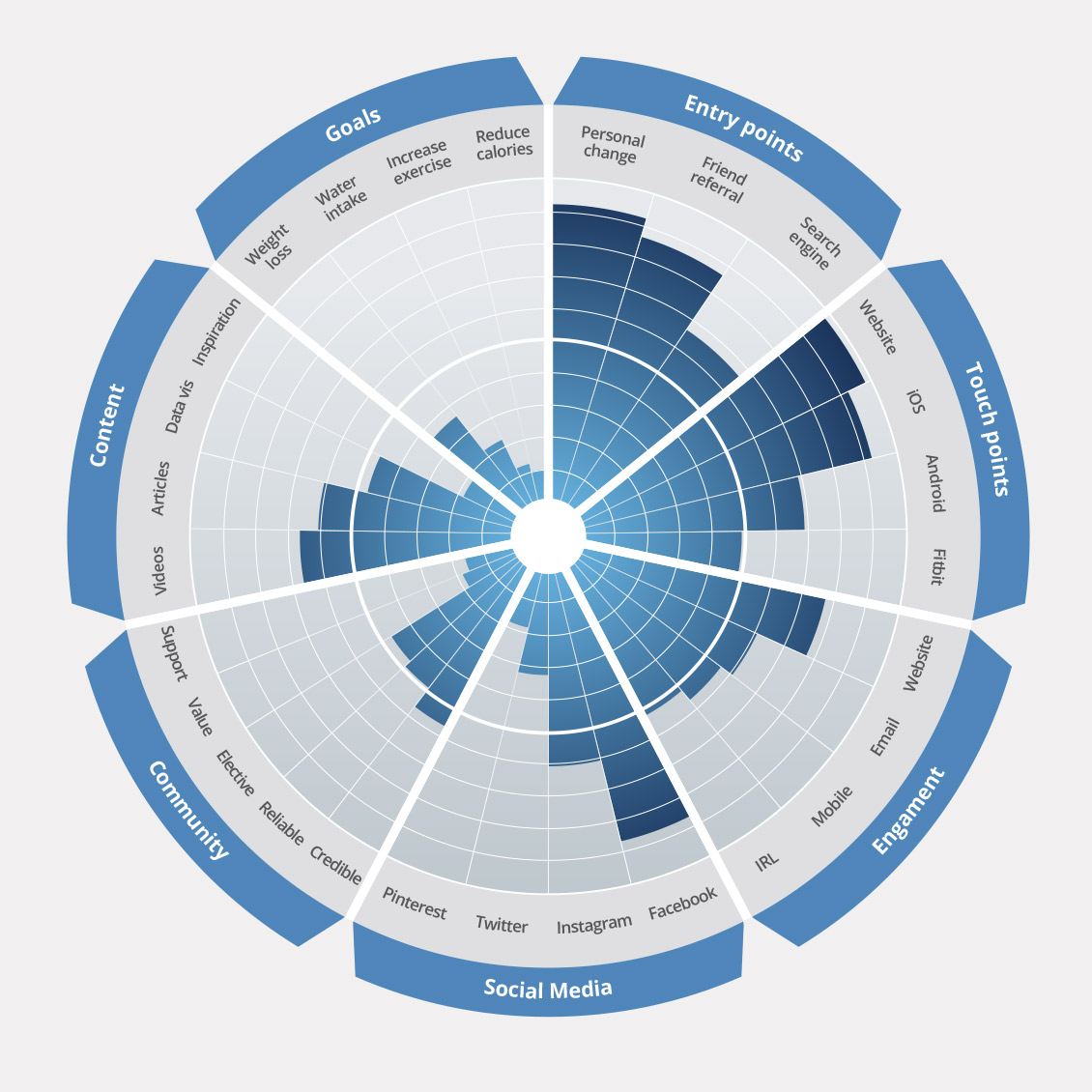 data visualization infographic circle chart