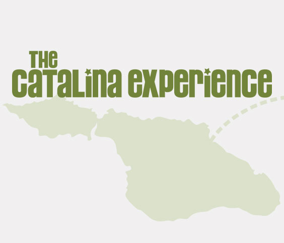 The Catalina Experience