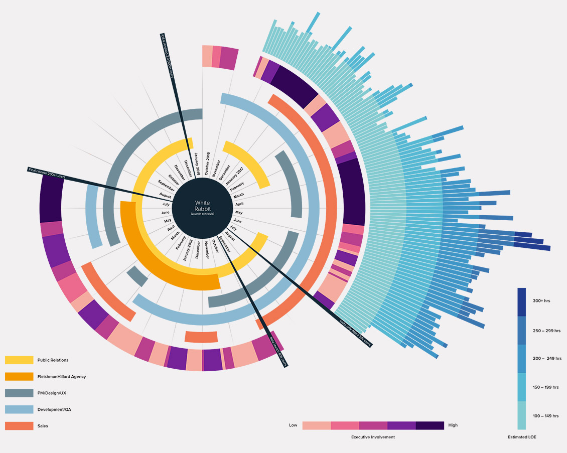 Alere data visualization infographic project scope