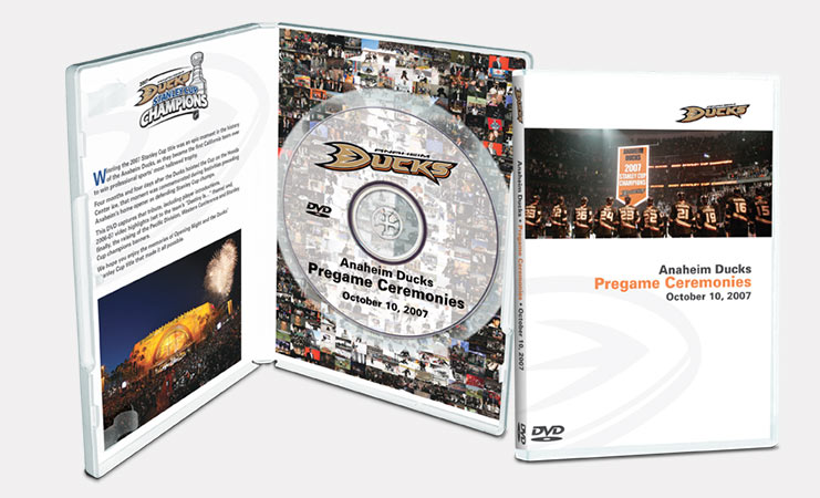 Stanley Cup Playoff DVD